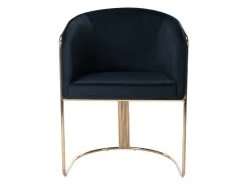 Chaise Avec Accoudoirs En Velours Et Métal - Noir Et Doré - JOSETHE De Pascal MORABITO -Magasin de meubles de restaurant chaise 10855217