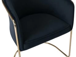 Lot De 2 Chaises Avec Accoudoirs En Velours Et Métal - Noir Et Doré - JOSETHE De Pascal MORABITO -Magasin de meubles de restaurant chaise 10856017