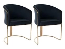 Lot De 2 Chaises Avec Accoudoirs En Velours Et Métal - Noir Et Doré - JOSETHE De Pascal MORABITO