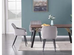 Ensemble De 2 Chaises De Salle à Manger Camden - Tapissées De Velours Avec Pieds En Métal - Gris Clair -Magasin de meubles de restaurant chaise 14148177