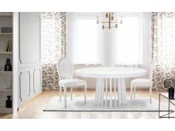 Lot De 2 Chaises Médaillon Louis XVI Simili (P.U) Blanc 11 Lot De 2 Chaises Médaillon Louis XVI Simili (P.U) Blanc -Magasin de meubles de restaurant chaise 20010243