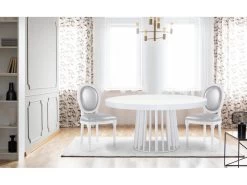 Lot De 2 Chaises Médaillon Louis XVI Simili (P.U) Silver 7 Lot De 2 Chaises Médaillon Louis XVI Simili (P.U) Silver -Magasin de meubles de restaurant chaise 20010481