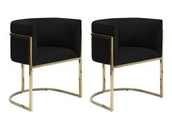 Lot De 2 Chaises Avec Accoudoirs - Velours Et Acier Inoxydable - Noir Et Doré - PERIA De Pascal MORABITO