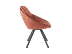 Lot De 2 Chaises Avec Accoudoirs En Velours Et Métal - Terracotta - BUSSELTON -Magasin de meubles de restaurant chaise 7313857