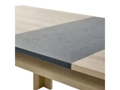IRIS - Table Rectangulaire Allongeable Imitation Bois -Magasin de meubles de restaurant table a manger 10032245