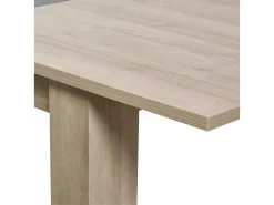 IRIS - Table Rectangulaire Allongeable Imitation Bois -Magasin de meubles de restaurant table a manger 10032247