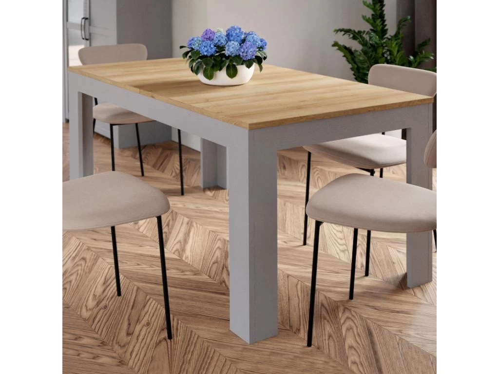 Table Repas Extensible L160/206 Cm Décor Chêne Gris Et Clair - ANTIBES 4 Table Repas Extensible L160/206 Cm Décor Chêne Gris Et Clair - ANTIBES – Image 2